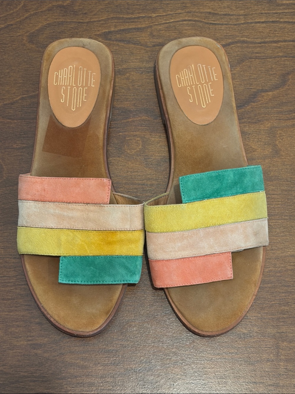 Charlotte Stone Suede Multicolor Slide Mules